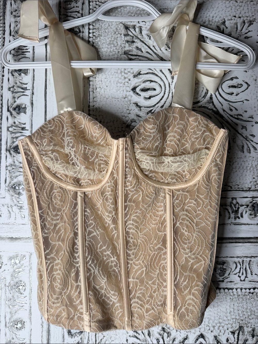 Pretty Garbage Lace Bustier Corset Top in Champagne - Picture 2 of 5